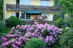 Der Garten der Gezubbel-Heimat: Unser Garten im Fr�hling