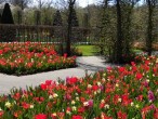 Fr�hling auf dem Keukenhof: � by I.K.